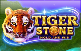 Tiger Stone